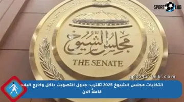 انتخابات مجلس الشيوخ 2025 تقترب: جدول التصويت داخل وخارج البلاد كاملاً الآن